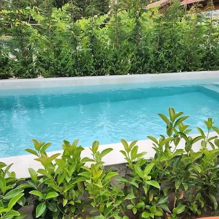 Pinetrees House With Swimming Pool * 格勒姆