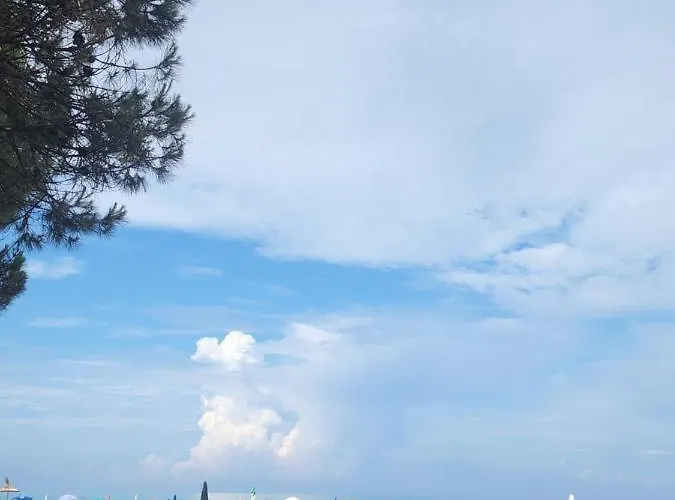 Pinetrees House With Swimming Pool ゴーレム