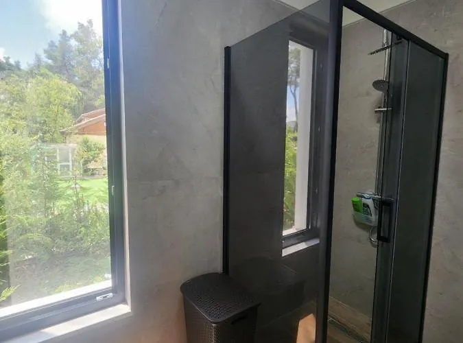 別荘 Pinetrees House With Swimming Pool *